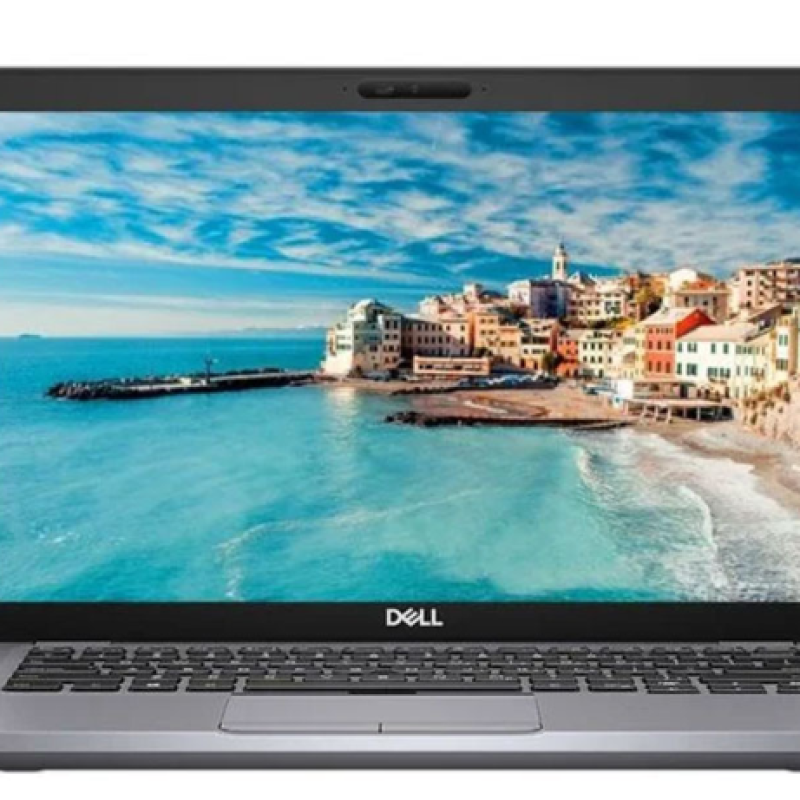DELL LATITUDE 5410	I7 10GEN	16	256	INTEL